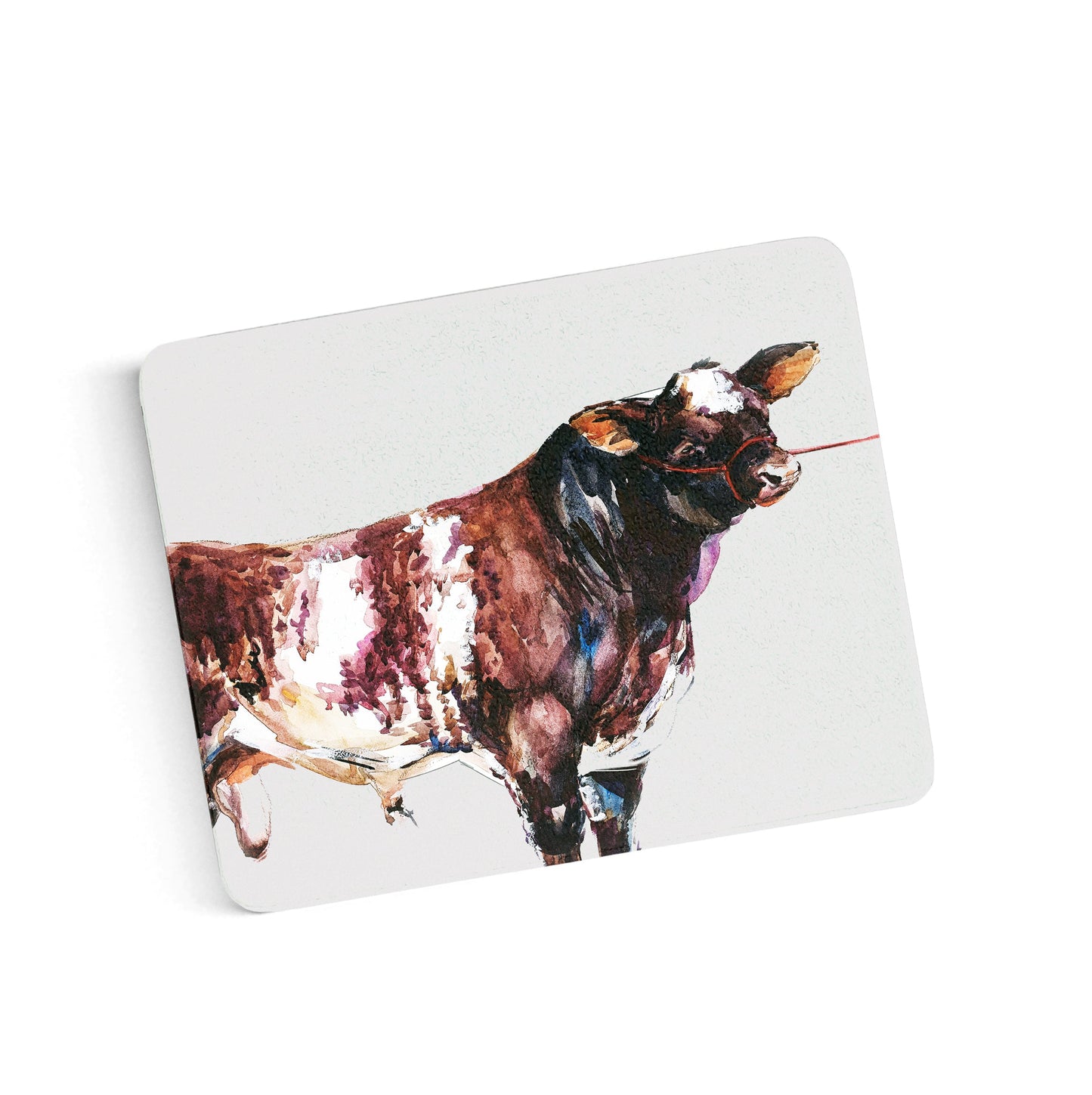 Bull Coasters
