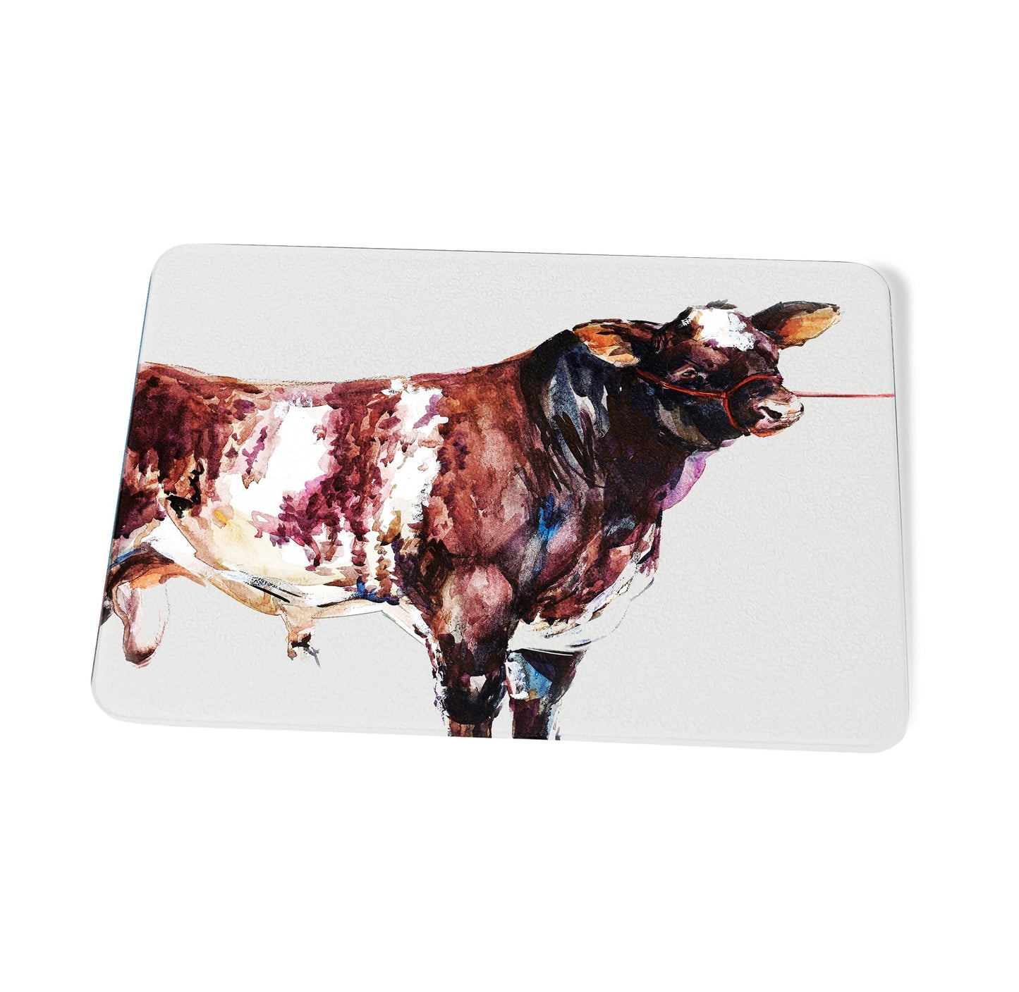 Bull Coasters